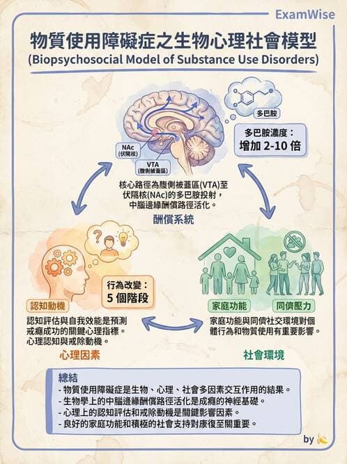 護理師 - 物質相關與成癮障礙 - AI 圖文解析預覽