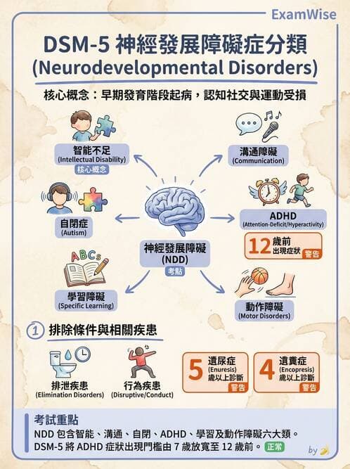 護理師 - 兒童青少年精神疾患 - AI 圖文解析預覽