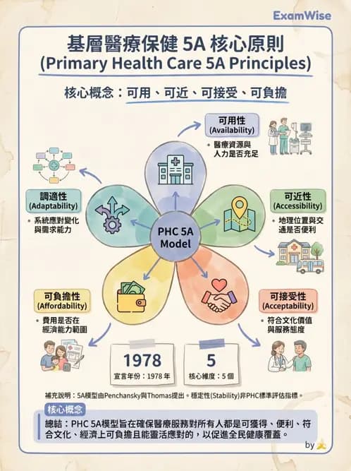 護理師 - 健康照護體系與健康政策 - AI 圖文解析預覽