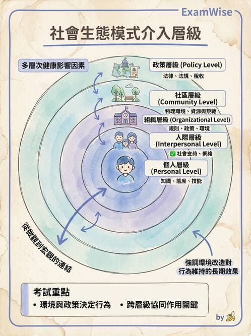 護理師 - 健康促進理論與模式 - AI 圖文解析預覽