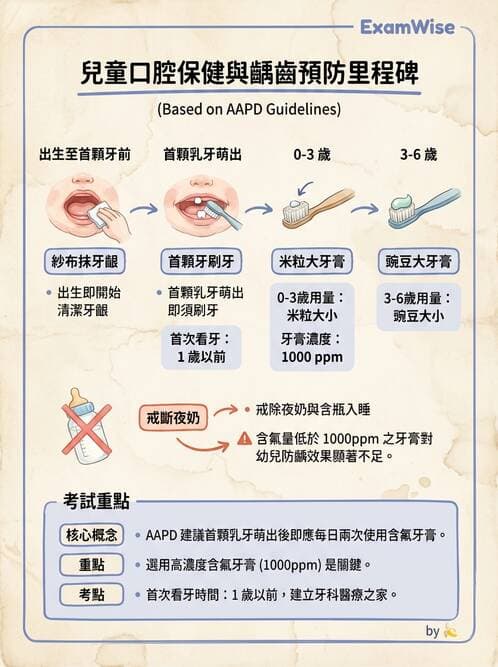 護理師 - 婦幼與青少年健康 - AI 圖文解析預覽