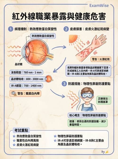 護理師 - 職業衛生護理 - AI 圖文解析預覽