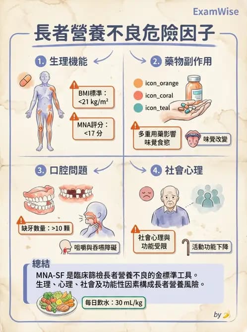 護理師 - 長照政策與服務體系 - AI 圖文解析預覽