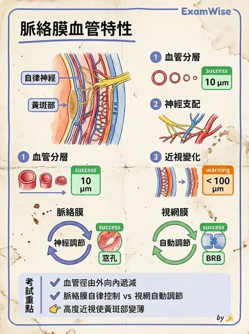 驗光生 - 眼部血液供應、脈絡膜與玻璃體 - AI 圖文解析預覽