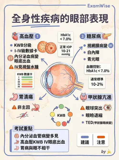 驗光生 - 全身性疾病眼部表現與神經眼科 - AI 圖文解析預覽