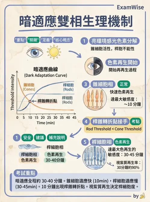 驗光生 - 視覺功能、視野與電生理檢查 - AI 圖文解析預覽