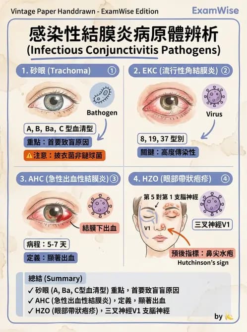 驗光生 - 角膜、結膜與眼前段疾病 - AI 圖文解析預覽