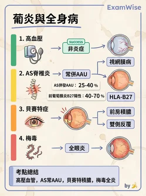 驗光生 - 全身性疾病眼部表現與神經眼科 - AI 圖文解析預覽