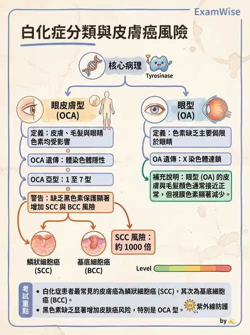 驗光生 - 全身性疾病眼部表現與神經眼科 - AI 圖文解析預覽
