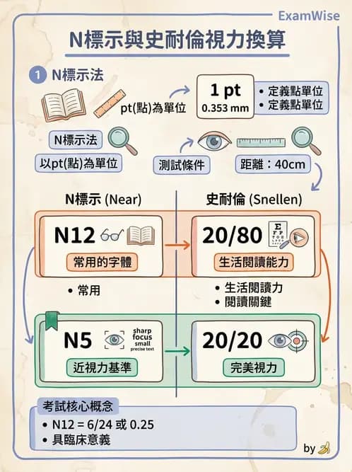 驗光生 - 老花眼基礎概念與調節幅度 - AI 圖文解析預覽