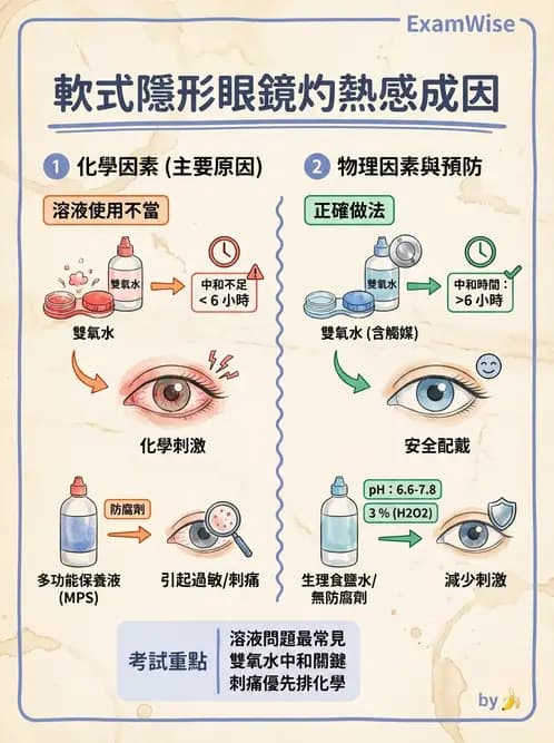 驗光生 - 隱形眼鏡護理操作與患者衛教 - AI 圖文解析預覽