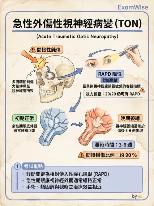 驗光生 - 全身性疾病眼部表現與神經眼科 - AI 圖文解析預覽