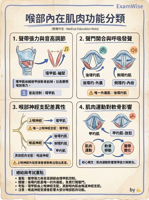 護理師 - 呼吸系統 - AI 圖文解析預覽