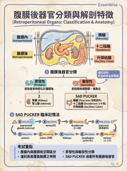 護理師 - 消化道 - AI 圖文解析預覽