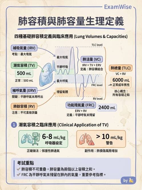 護理師 - 呼吸系統 - AI 圖文解析預覽