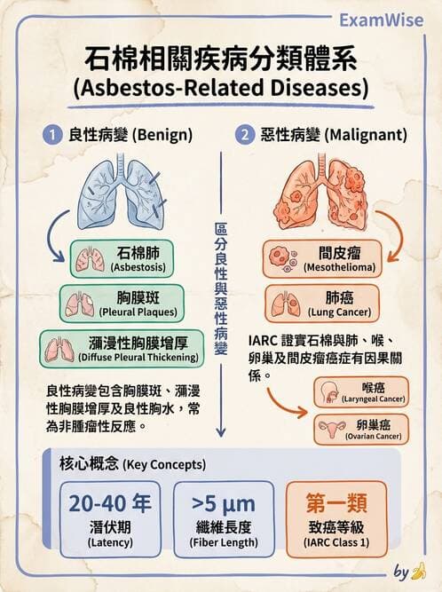 護理師 - 感染及環境疾病 - AI 圖文解析預覽