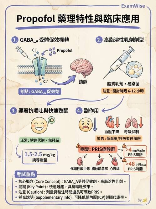 護理師 - 鎮痛、麻醉與神經科藥物 - AI 圖文解析預覽