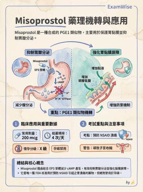 護理師 - 自泌素及藥物 - AI 圖文解析預覽
