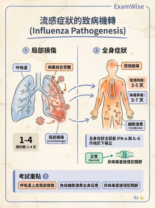 護理師 - RNA 病毒、新興病毒 - AI 圖文解析預覽