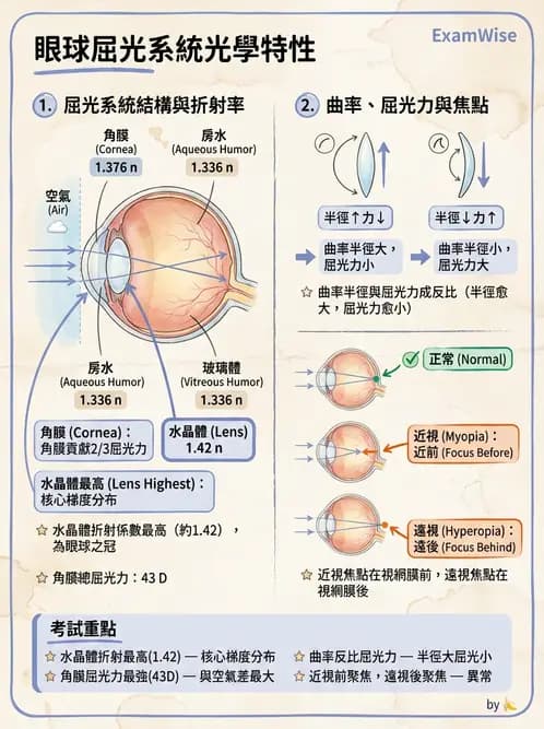 驗光生 - 近視與遠視的分類、成因及眼球光學基礎 - AI 圖文解析預覽