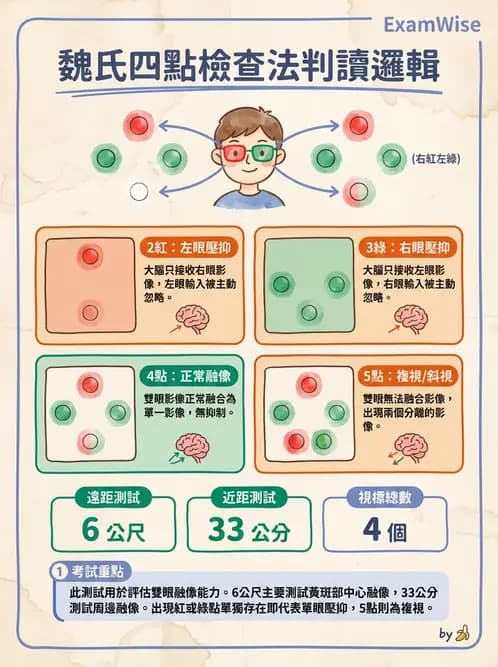 驗光生 - 雙眼感知與融像檢查 - AI 圖文解析預覽