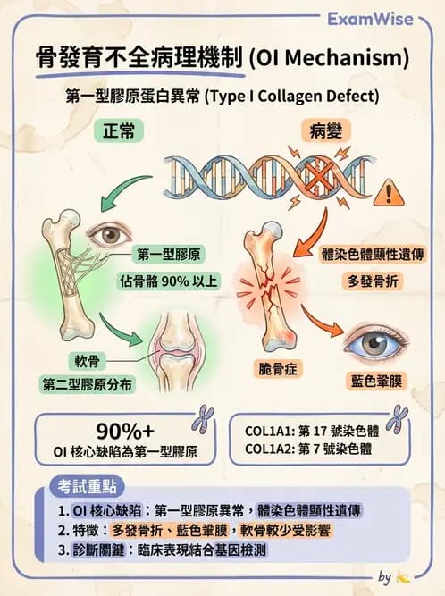 放射 - 遺傳疾病與小兒疾病 - AI 圖文解析預覽