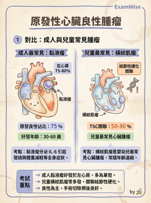 放射 - 心臟及血管疾病 - AI 圖文解析預覽