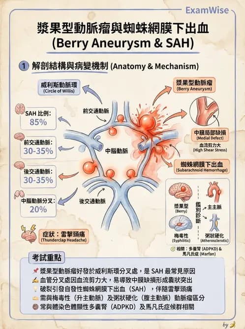 放射 - 神經系統疾病 - AI 圖文解析預覽