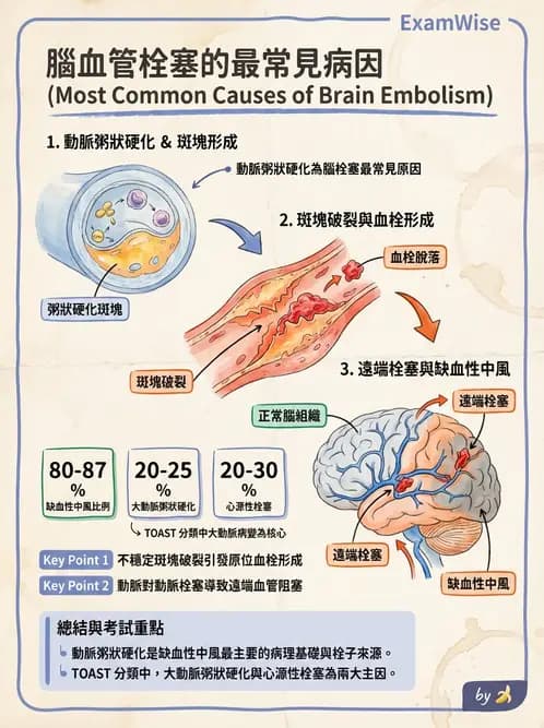放射 - 神經系統疾病 - AI 圖文解析預覽