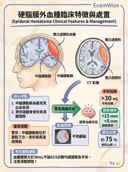 放射 - 神經系統疾病 - AI 圖文解析預覽