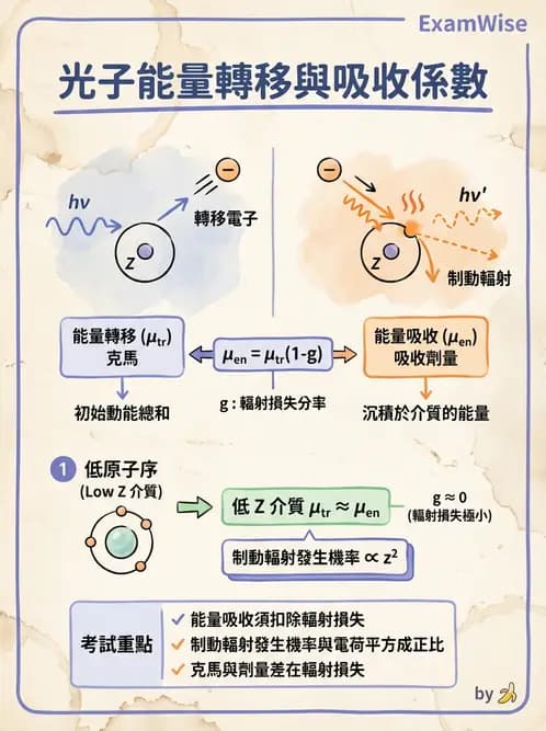 放射 - 光子作用機制 - AI 圖文解析預覽