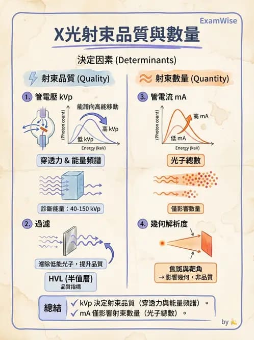 放射 - X光產生與特性 - AI 圖文解析預覽