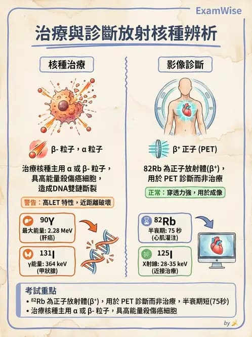 放射 - 核子醫學物理 - AI 圖文解析預覽