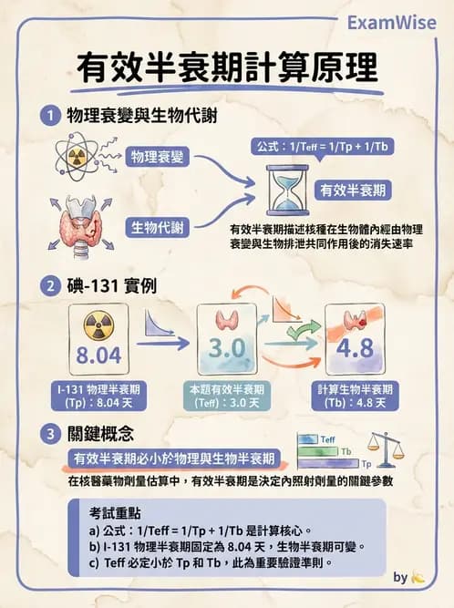 放射 - 體內劑量 - AI 圖文解析預覽