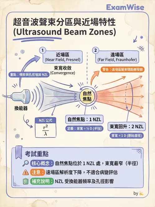 放射 - 超音波物理與換能器 - AI 圖文解析預覽