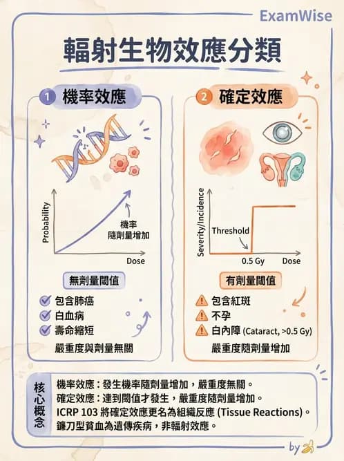 放射 - 全身性輻射效應 - AI 圖文解析預覽