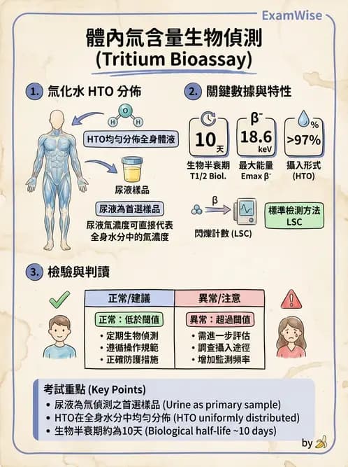 放射 - 體內劑量 - AI 圖文解析預覽