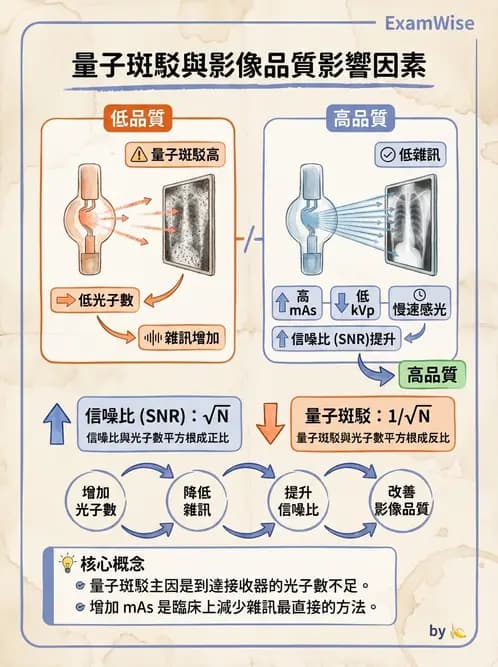 放射 - X光成像系統與影像品質 - AI 圖文解析預覽