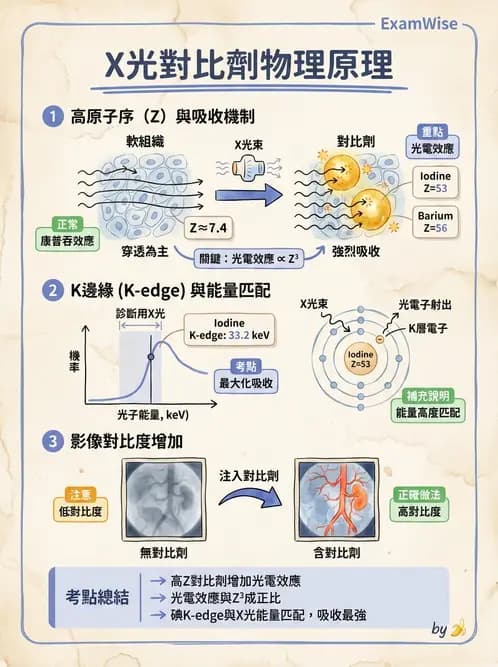 放射 - 血管攝影與透視攝影裝置 - AI 圖文解析預覽