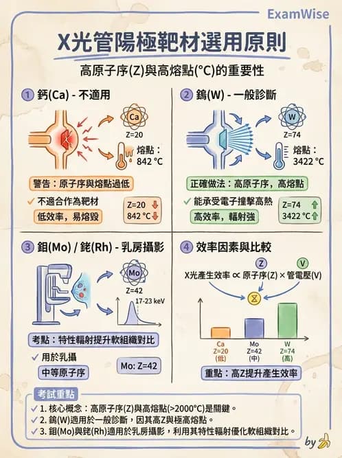 放射 - X光球管與高壓電路 - AI 圖文解析預覽