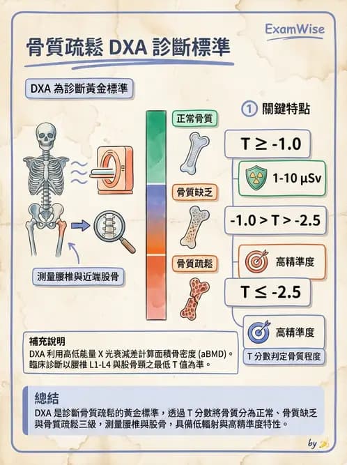 放射 - X光成像系統與影像品質 - AI 圖文解析預覽