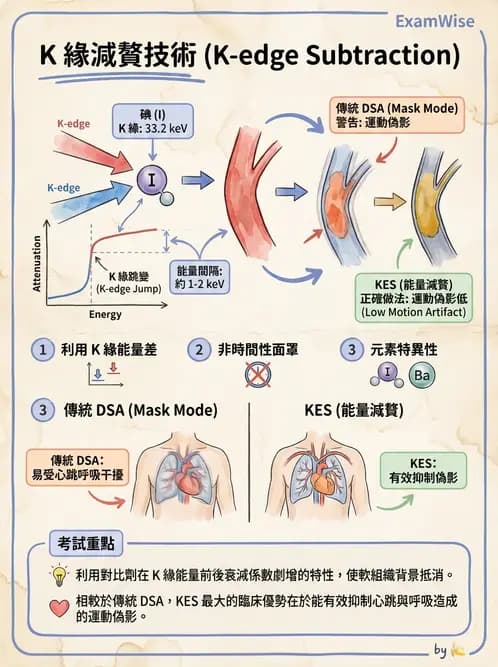 放射 - 血管攝影與透視攝影裝置 - AI 圖文解析預覽