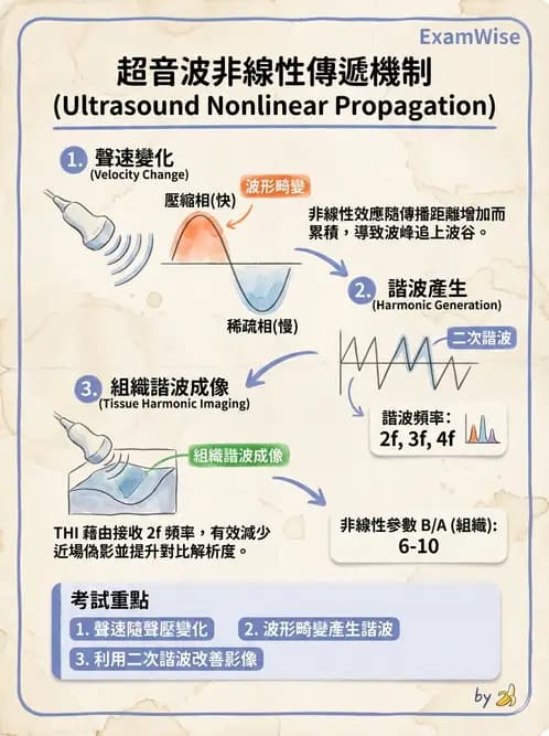 放射 - 超音波物理與系統原理 - AI 圖文解析預覽