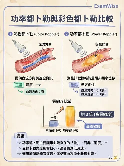 放射 - 都普勒超音波 - AI 圖文解析預覽