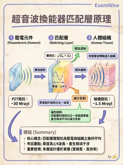 放射 - 超音波物理與系統原理 - AI 圖文解析預覽