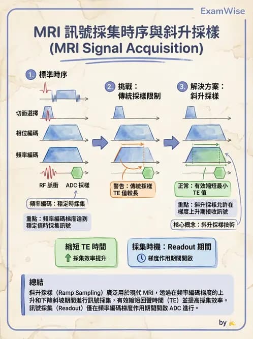 放射 - 梯度線圈與空間編碼 - AI 圖文解析預覽