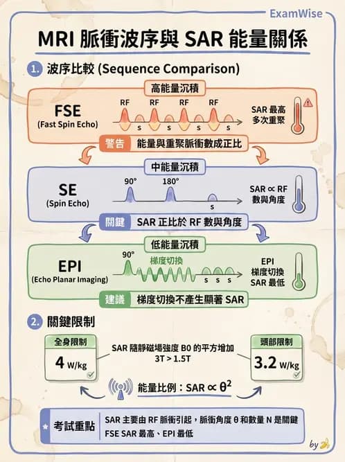 放射 - 射頻系統與線圈 - AI 圖文解析預覽