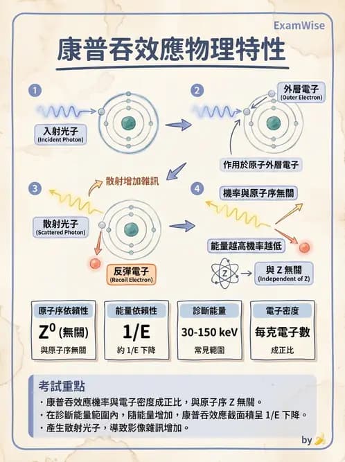 放射 - X光交互作用與影像品質 - AI 圖文解析預覽