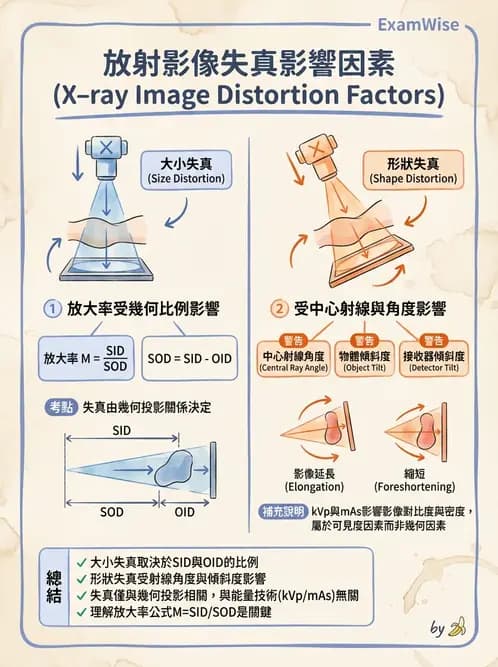 放射 - X光交互作用與影像品質 - AI 圖文解析預覽