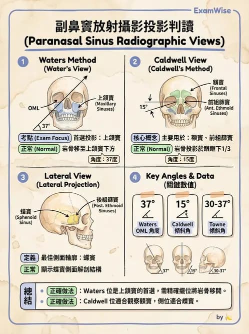 放射 - 頭頸脊椎攝影技術 - AI 圖文解析預覽